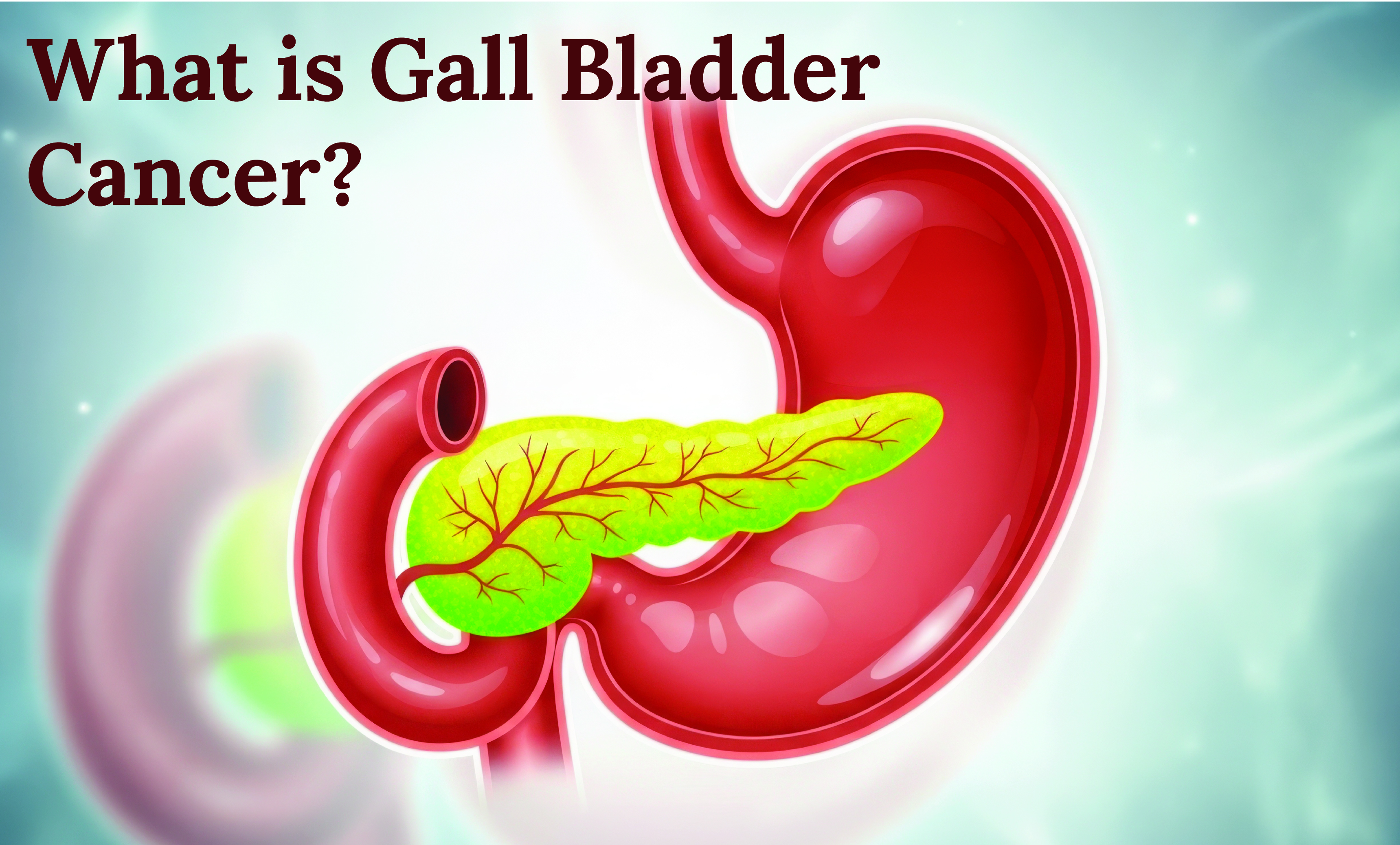 What is Gall Bladder Cancer?
