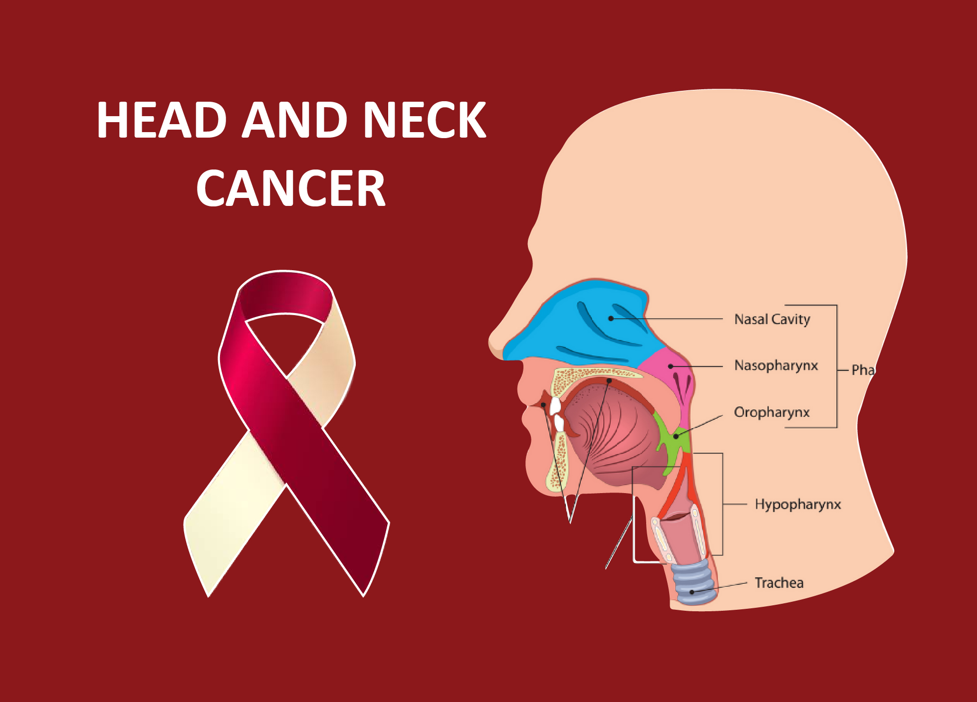 most common head and neck cancers